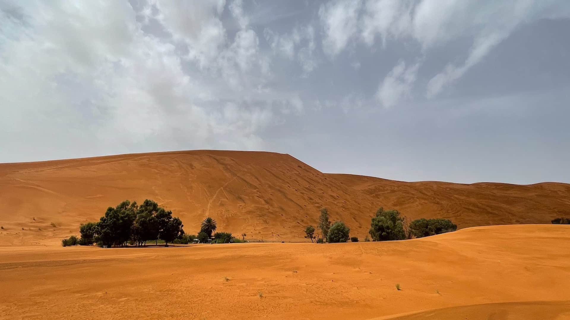Dunas rojas del Erg Chebbi con oasis de palmeras y árboles en el desierto de Merzouga, Sahara marroquí
