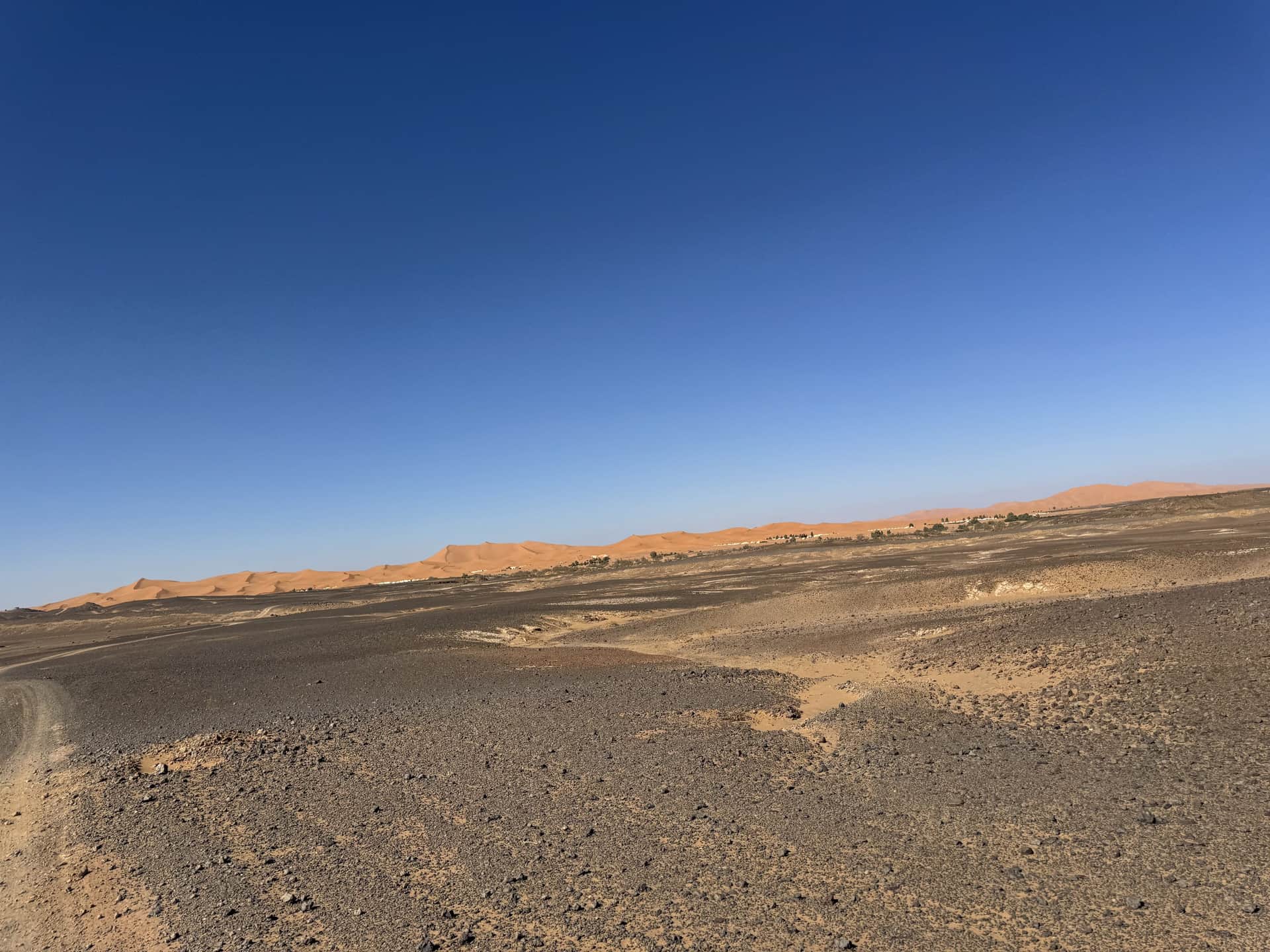 Dunas doradas del Erg Chebbi en Merzouga vistas desde el hamada rocoso bajo cielo azul intenso, Marruecos