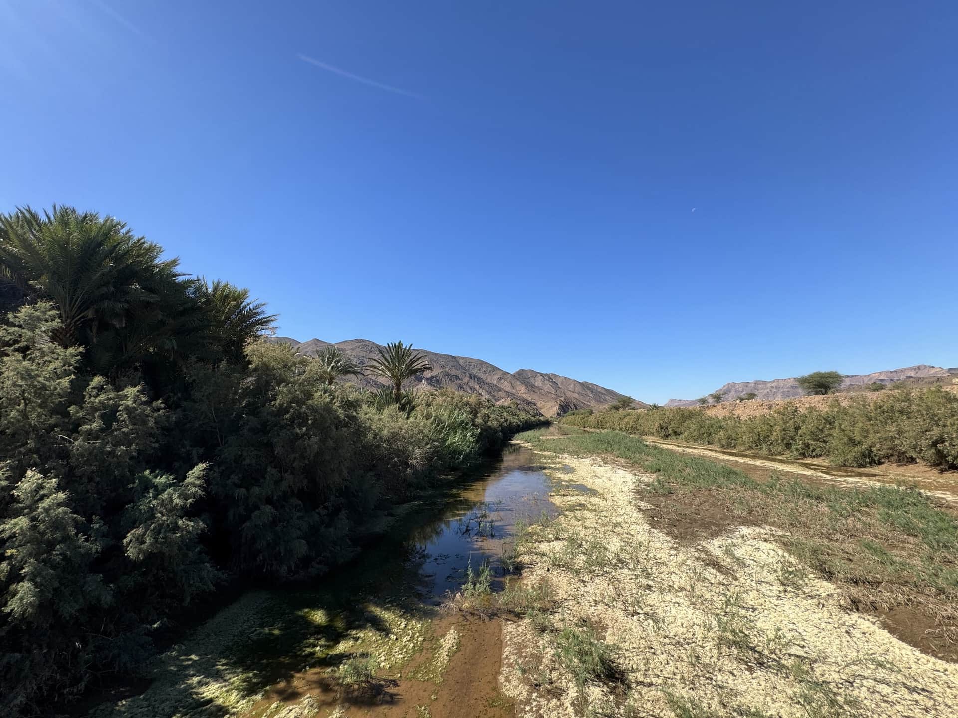 Oasis con palmeras y curso de agua en el sur de Marruecos, rodeado de montañas áridas bajo cielo azul