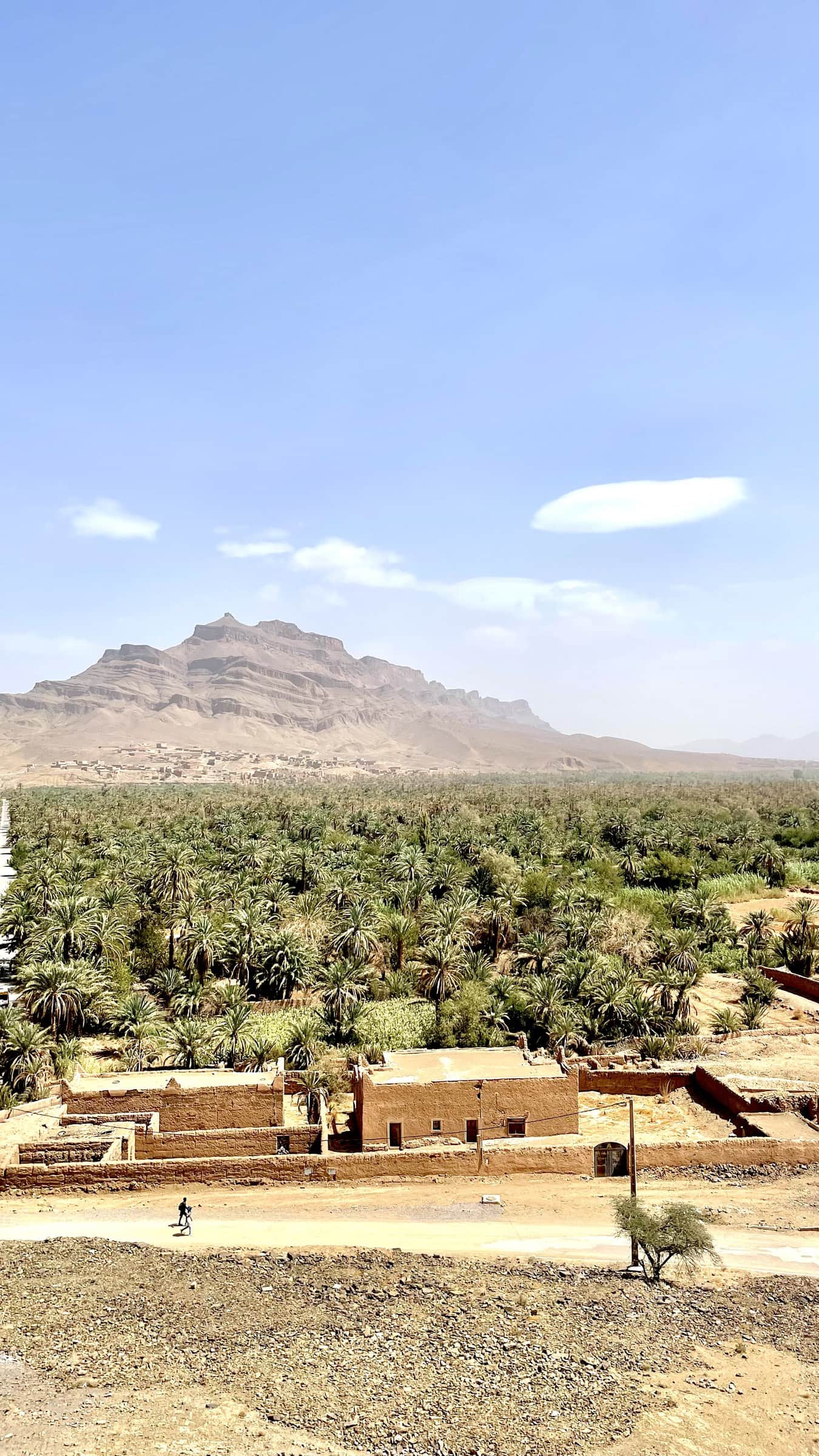 Valle del Draa en Marruecos: palmeral infinito con kasbahs de barro y montaña rocosa al fondo bajo cielo azul