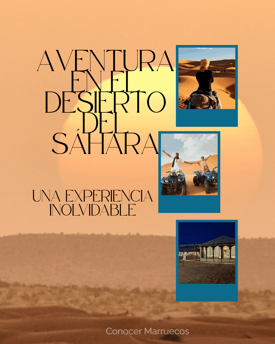 Camellos al atardecer en el Sahara