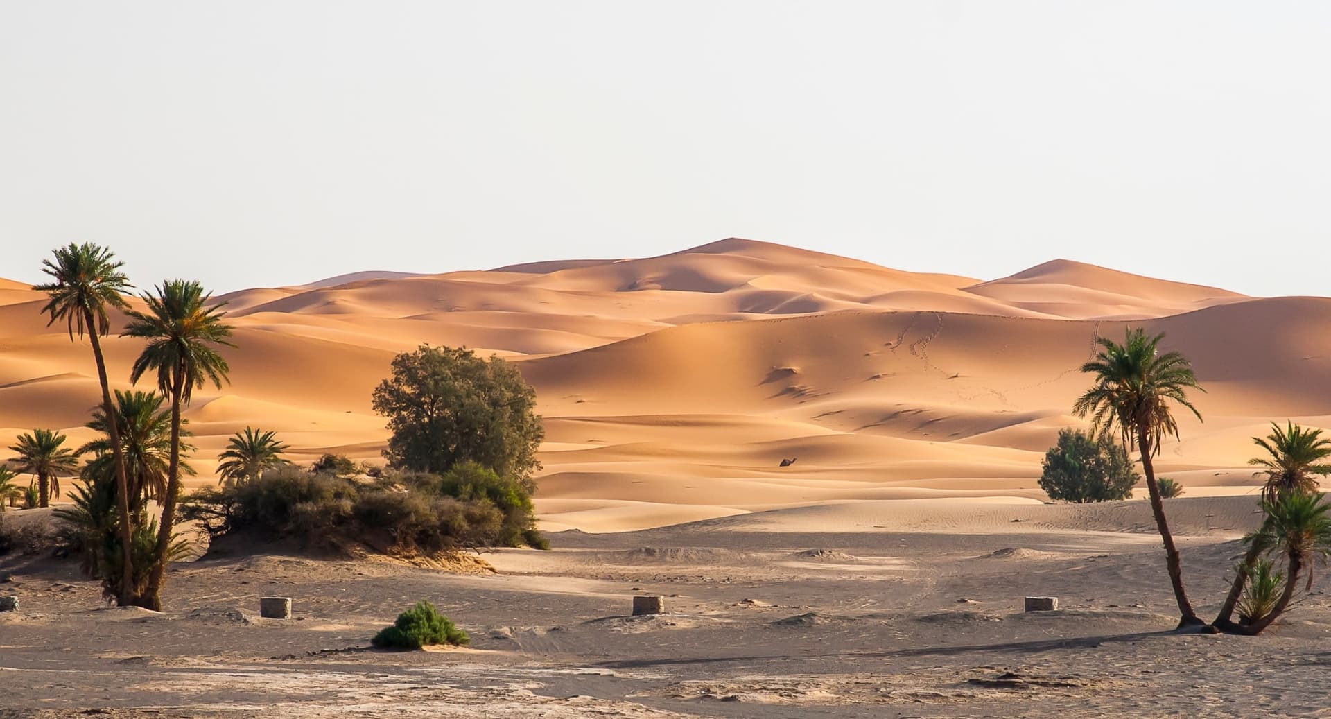 Viajar al Desierto de Merzouga