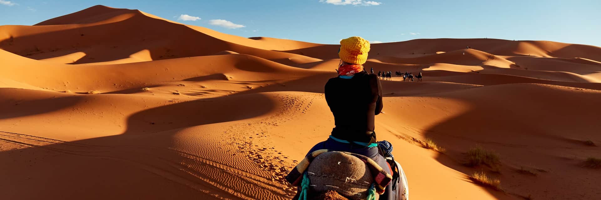 Viajero montando dromedario entre las dunas doradas del Erg Chebbi en el desierto del Sahara, Merzouga, Marruecos