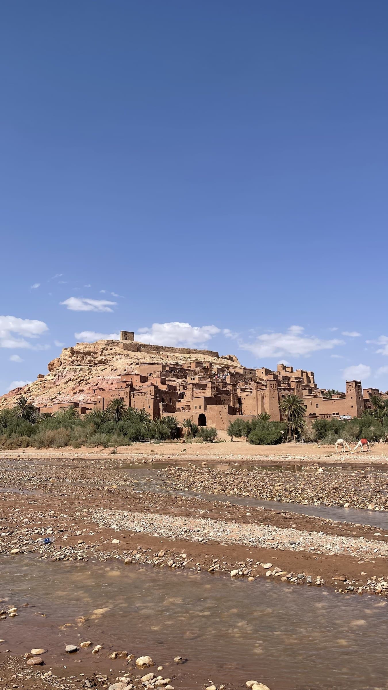 Kasbah de Aït Ben Haddou desde el río, patrimonio UNESCO en Marruecos, con palmeras y cielo azul