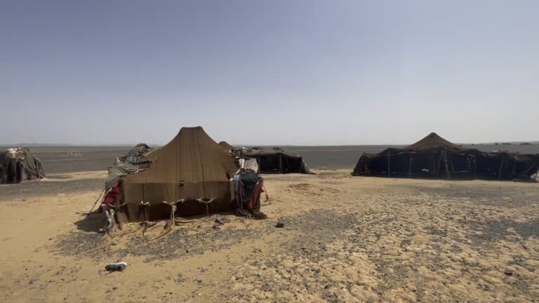 Campamento nómada con jaimas tradicionales de lana en el desierto del Sahara marroquí, llanura árida y cielo despejado