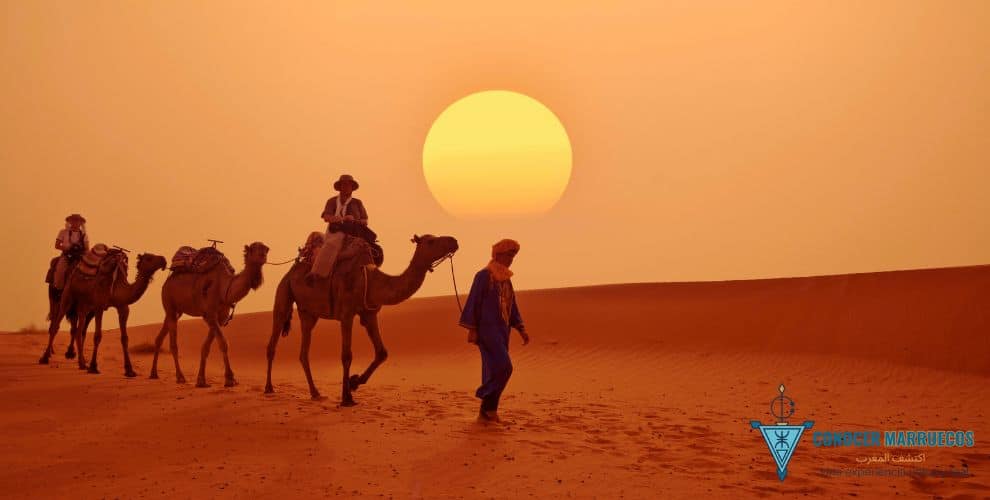Viajeros recorriendo el desierto de Marruecos en camello al atardecer